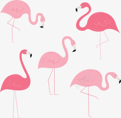 粉红色五个火烈鸟矢量图素材