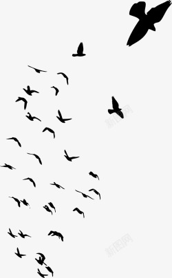 群鸟飞翔简约黑色小鸟高清图片