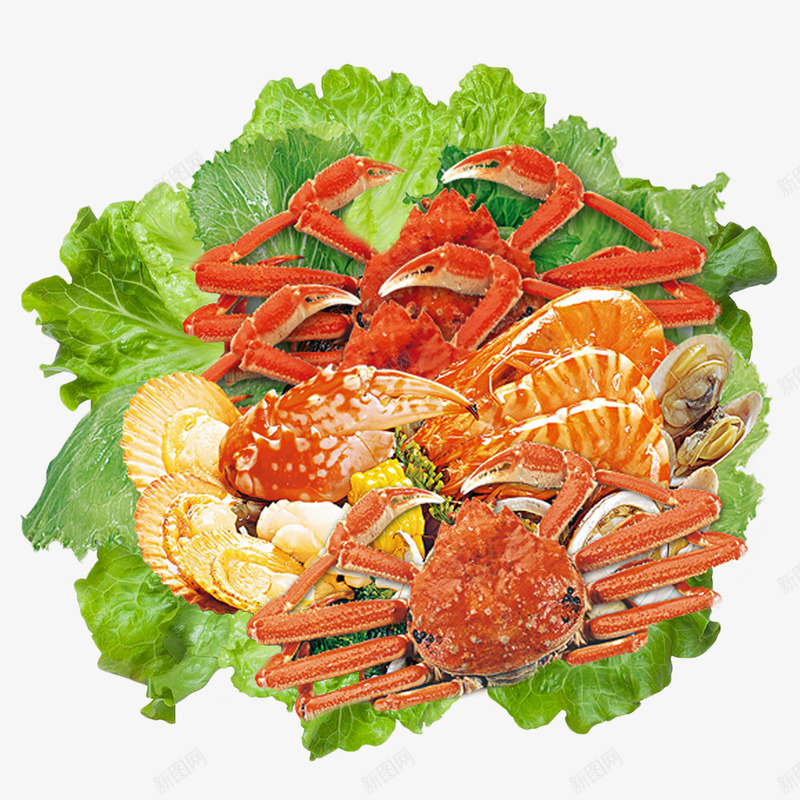 海鲜png免抠素材_88icon https://88icon.com 传统美食 健康食物 健康饮食 国际美食 海鲜 美食 螃蟹 食物 饮食