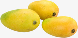 黄色成熟芒果水果素材