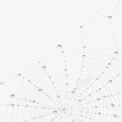 卡通蜘蛛网素材带水滴的蜘蛛网高清图片