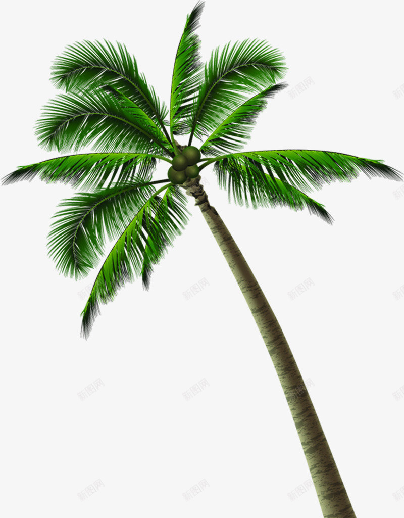 夏季热带海岛椰子树png免抠素材_88icon https://88icon.com 夏季 椰子树 海岛 海岛小船 热带