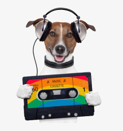 小狗正在听音乐素材