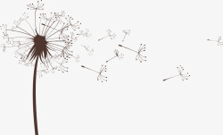 手绘蒲公英矢量图蒲公英花纹矢量图高清图片