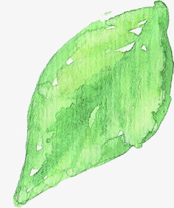 手绘文艺绿色水墨树叶装饰素材