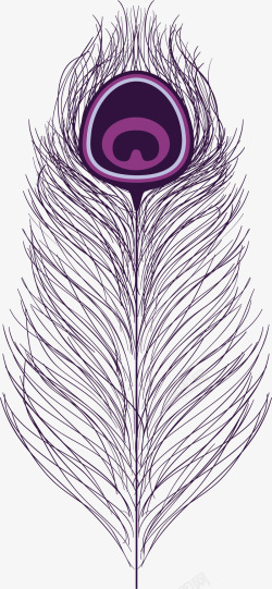 紫色飘逸的靓丽羽毛素材
