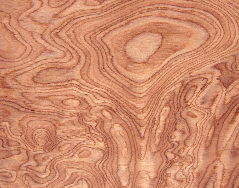 木板木纹木头png免抠素材_88icon https://88icon.com 年轮 木头 木板 木纹
