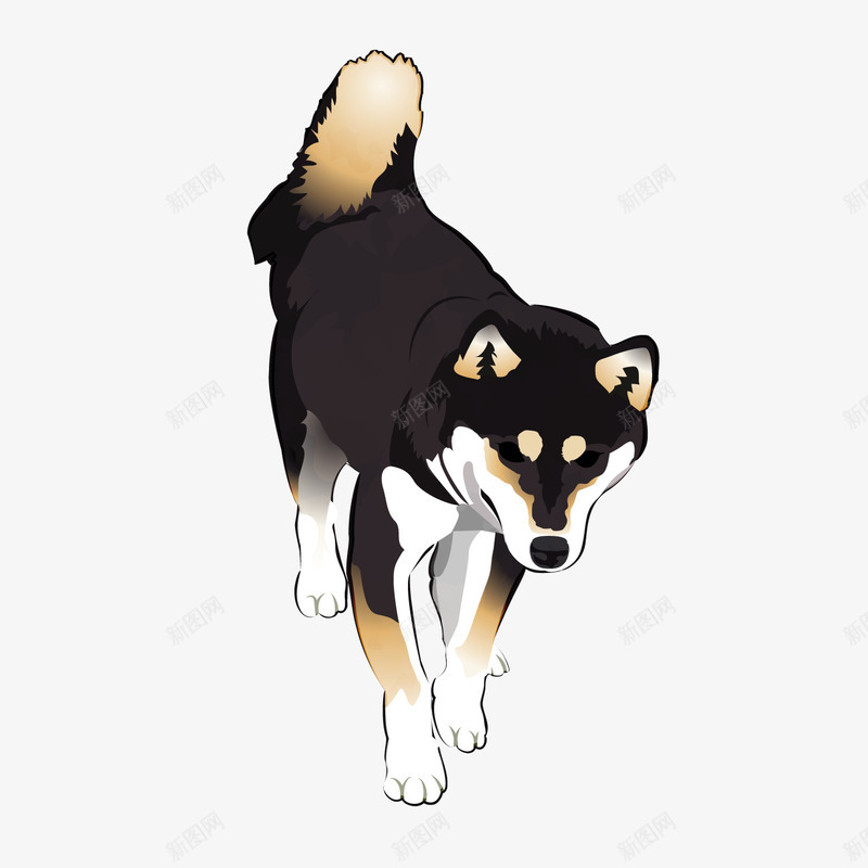 黑色柴犬宠物狗png免抠素材_88icon https://88icon.com 卡通动物 卡通小狗 宠物狗 柴犬 背景装饰 黑色小狗