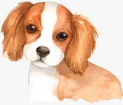 手绘可爱的小狗图素材