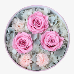 粉色玫瑰礼物包装素材