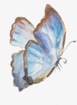 手绘蓝色春季水彩蝴蝶素材