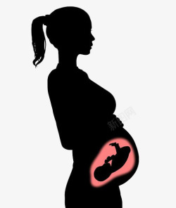 孕妇肚子里的宝宝素材
