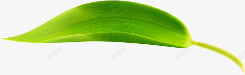绿色竹叶一见粽情意境装饰png免抠素材_88icon https://88icon.com 意境 竹叶 绿色 装饰