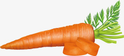 好看的萝卜卡通萝卜漂亮萝卜高清图片