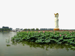 河北景区著名景点河北白洋淀高清图片