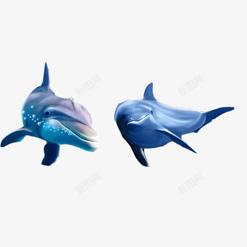 海洋生物3D效果片psd免抠素材_88icon https://88icon.com 3D图 海豚 游动 蓝色 鲸鱼