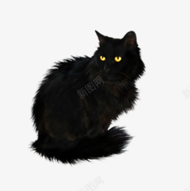 的猫黑色的猫咪图标图标
