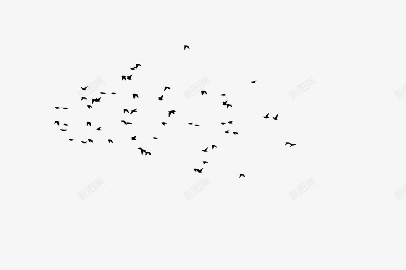 一群乌鸦在空中展翅飞翔png免抠素材_88icon https://88icon.com 乌鸦 展翅 空中 飞翔
