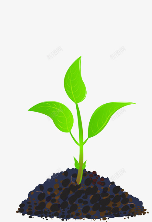 生长在土壤里的小绿芽png免抠素材_88icon https://88icon.com 初春的力量 嫩绿 嫩绿的小芽 小绿芽 活力 生长在土壤 绿色 青春