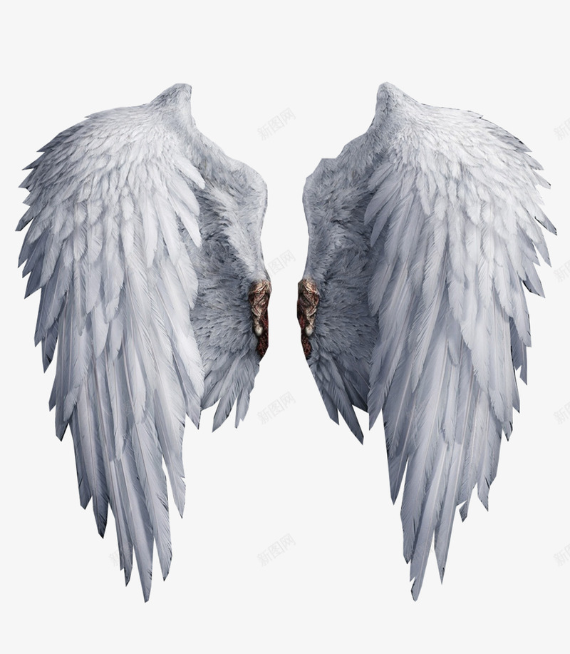 白色翅膀png免抠素材_88icon https://88icon.com 甜食翅膀 白色 白色翅膀 翅膀