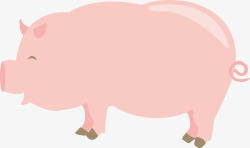 畜牧产业猪产品素材