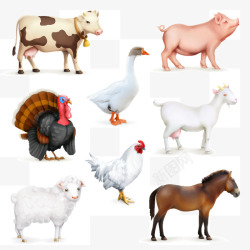 农场奶牛家禽动物高清图片