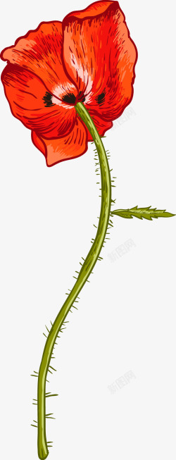 红色罂粟花矢量图素材