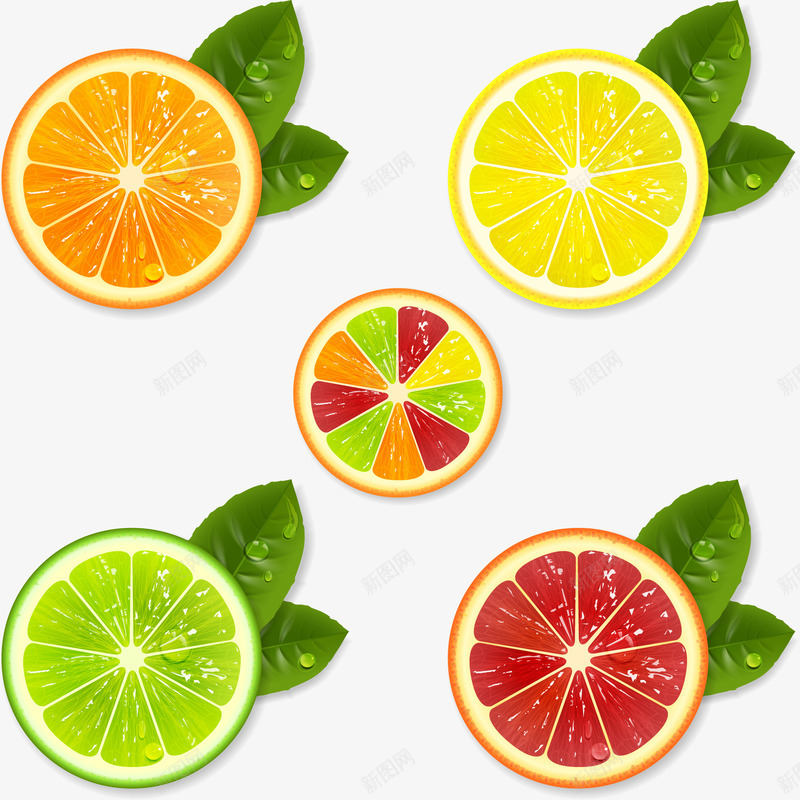 5款水果切片png免抠素材_88icon https://88icon.com 卡通 柚 柚子 柚子卡通 柠檬 橙子 水果 蔬果 香甜