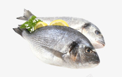 食用鱼美食活斑鱼高清图片