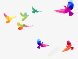 彩色的鸟多只彩绘鸟剪影高清图片