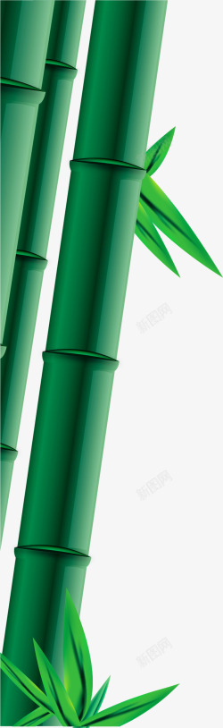绿色竹子竹叶端午节装饰素材