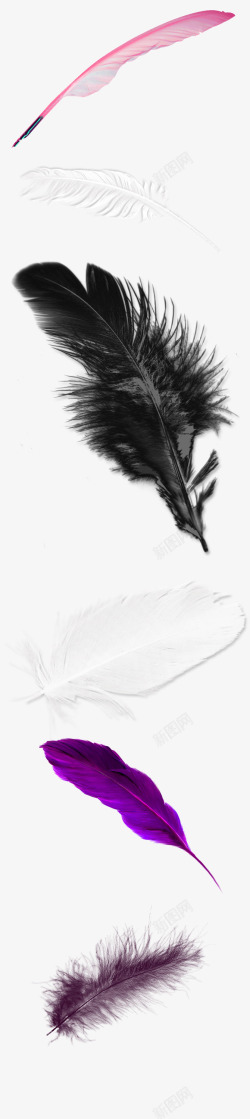 羽毛装饰图案8825桌面壁纸素材