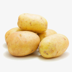 新鲜的土豆照片鲜嫩土豆高清图片