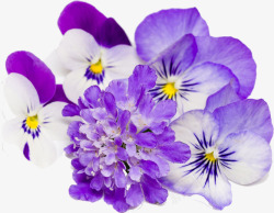 紫色碎花文艺春季花朵素材