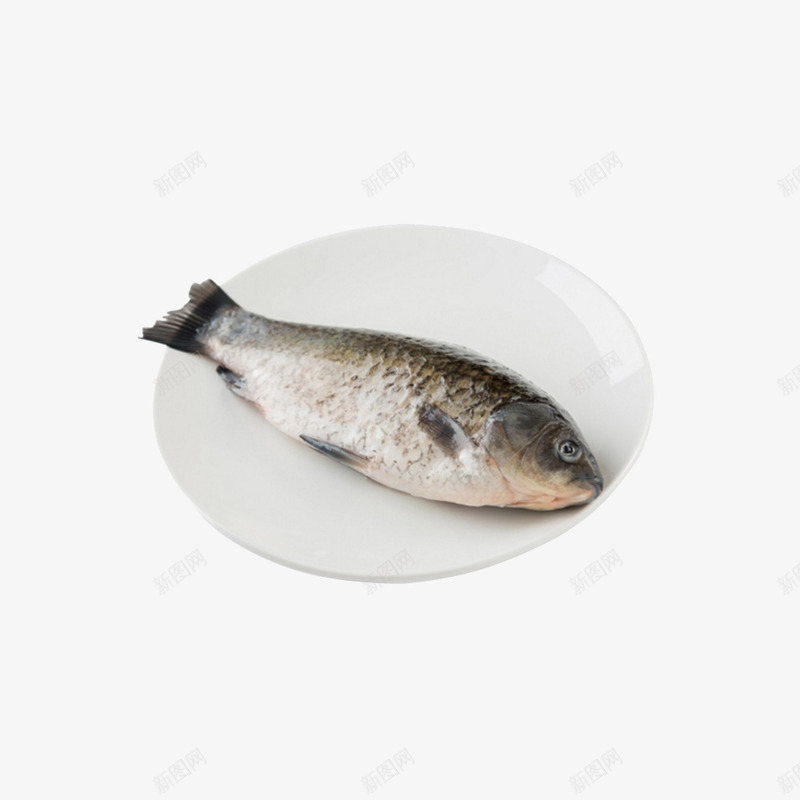 鲫鱼活鱼摆盘实拍图png免抠素材_88icon https://88icon.com 多刺 有刺鱼 水产 活鱼 生鲜 食品 鲫鱼