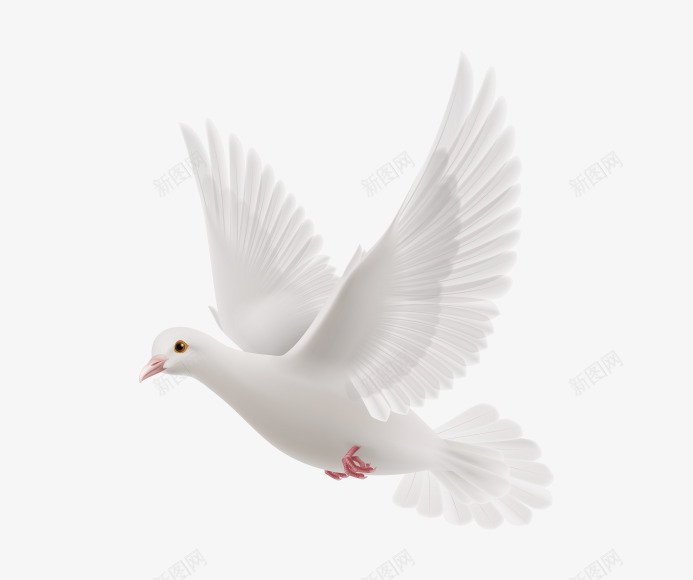 白色的鸟png免抠素材_88icon https://88icon.com 小鸟 矢量装饰 翅膀 装饰 鸟 鸽子