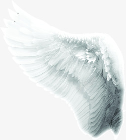 展开的白色羽毛翅膀七夕情人节素材
