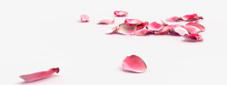 粉色梦幻漂浮婚礼花瓣装饰素材