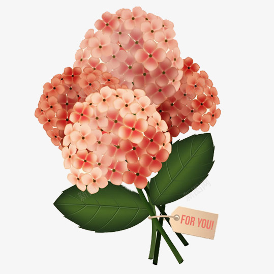 手绘卡通绣球花png免抠素材_88icon https://88icon.com 团团簇簇 碧绿的叶子热情似火 礼物 红色 红色绣球花 绣球花 茂盛
