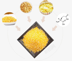 维生素的玉米玉米糁功效高清图片