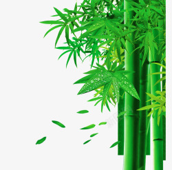 绿色植物竹子竹叶竹树露珠绿叶竹子竹叶漂浮小清新高清图片