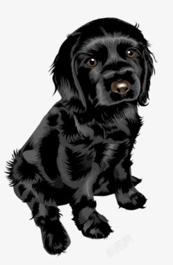 黑狗卡通黑狗高清图片