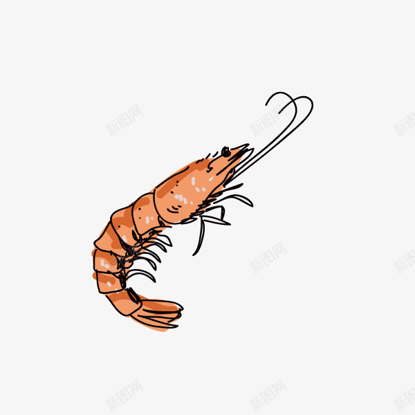 卡通手绘海鲜虾食物png免抠素材_88icon https://88icon.com 创意 动漫动画 卡通海鲜虾 手绘 艺术 食物