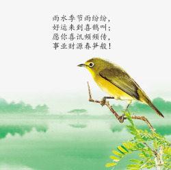 卡通手绘树枝上站立的鸟素材