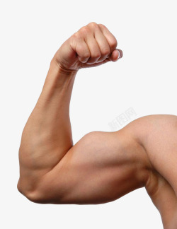 生殖手臂肌肉的男高清图片
