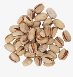 坚果开心果素材