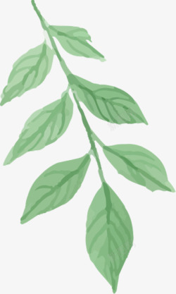 手绘文艺绿色树叶素材