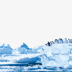 冰山边的企鹅素材