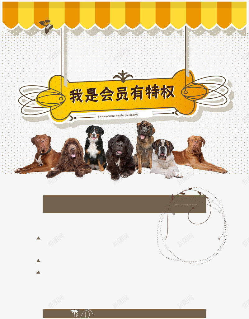 宠物店png免抠素材_88icon https://88icon.com 医疗宣传单 卡通人物 宠物 宠物医院 宠物店 宠物店会员 宠物店宣传单 狗