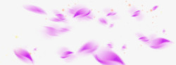 紫色的花瓣漫天飞舞素材